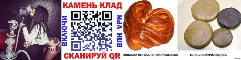 ГАШИШ хэш  Павловск 