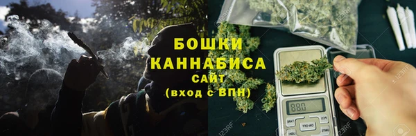 не бодяженный Осташков