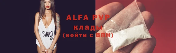 стафф Аркадак