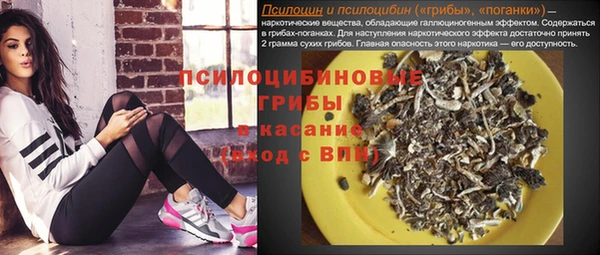 стафф Аркадак