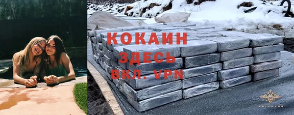 стафф Аркадак