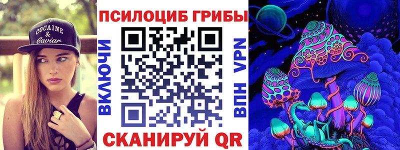 Галлюциногенные грибы Psilocybine cubensis  Павловск 